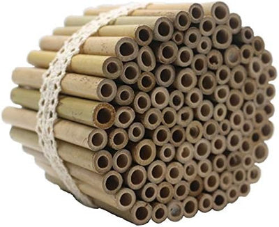 Super Idee 200 Stück 10cm Länge Bambusröhrchen Füllmaterial Insektenhotel Inhalt im Winter Wildbiene