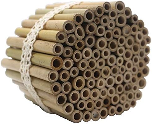 Super Idee 200 Stück 10cm Länge Bambusröhrchen Füllmaterial Insektenhotel Inhalt im Winter Wildbiene