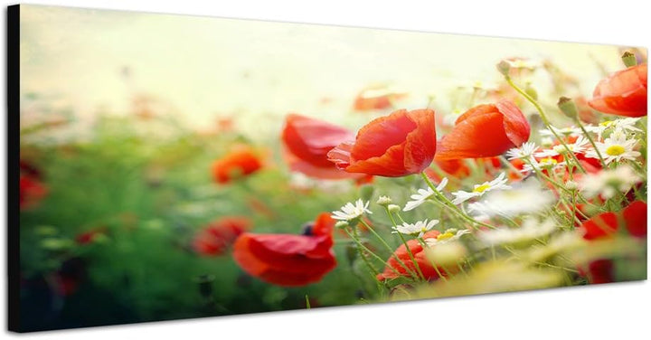 Paul Sinus Art Panoramabild auf Leinwand und Keilrahmen 120x40cm Mohnblumen Frühling Sonnenstrahlen