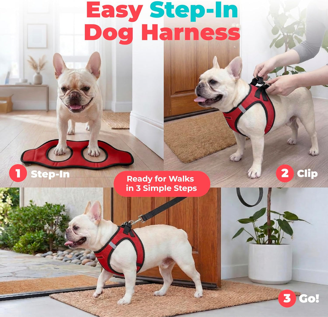 Best Pet Supplies Voyager Step-In Air-Hundegeschirr – Allwetter-Mesh-Weste für kleine und mittelgros