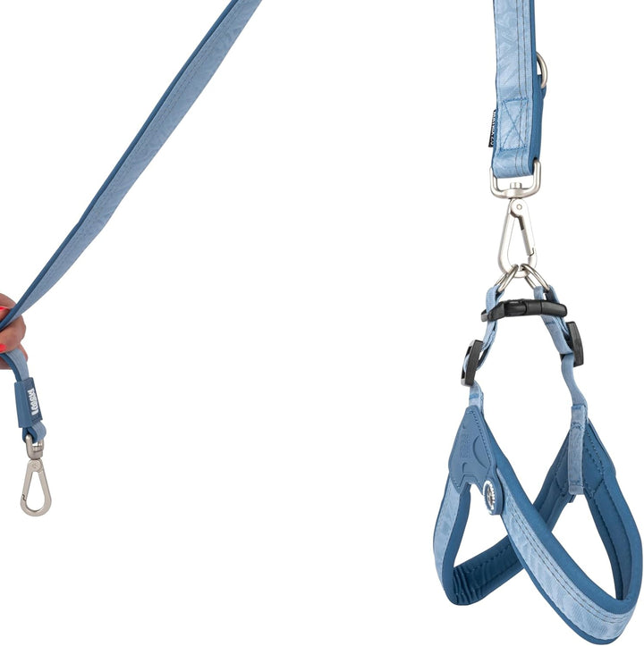 Max & Molly Q-Fit Hundegeschirr Kleine Hunde mit Gotcha! Smart ID Sicherheitsanhänger, Matrix 2.0 Oc