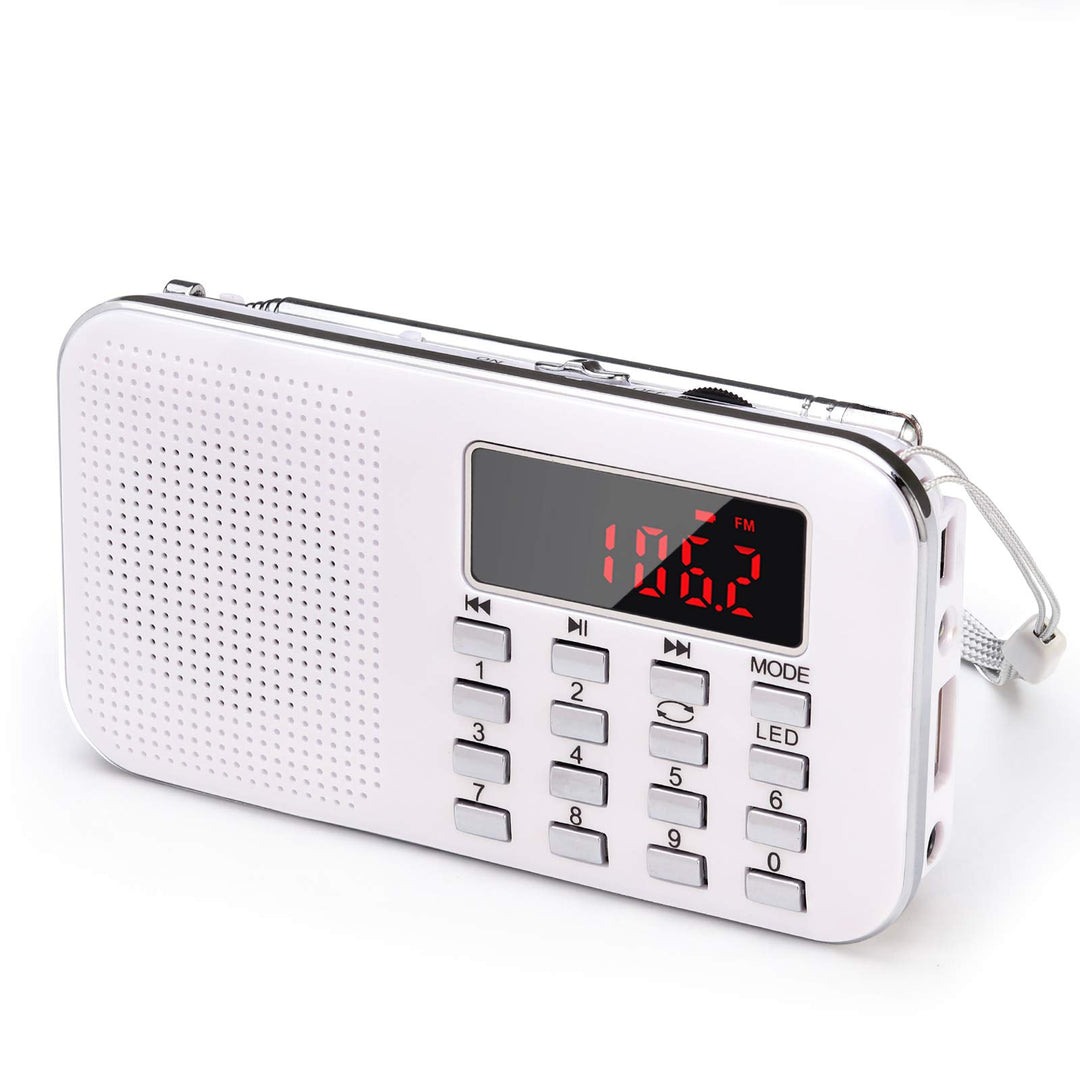 PRUNUS L-218AM Portables Mini Radio AM(MW)/UKW FM/TF Card/USB/MP3, 1200mAh Akku. Geschäfte und Sende