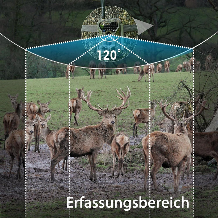 S970 4G LTE Wildkamera, 48MP 1296P, Mit Live Streaming Funktion, Nachtvision, 0.1s Bewegungsaktivier