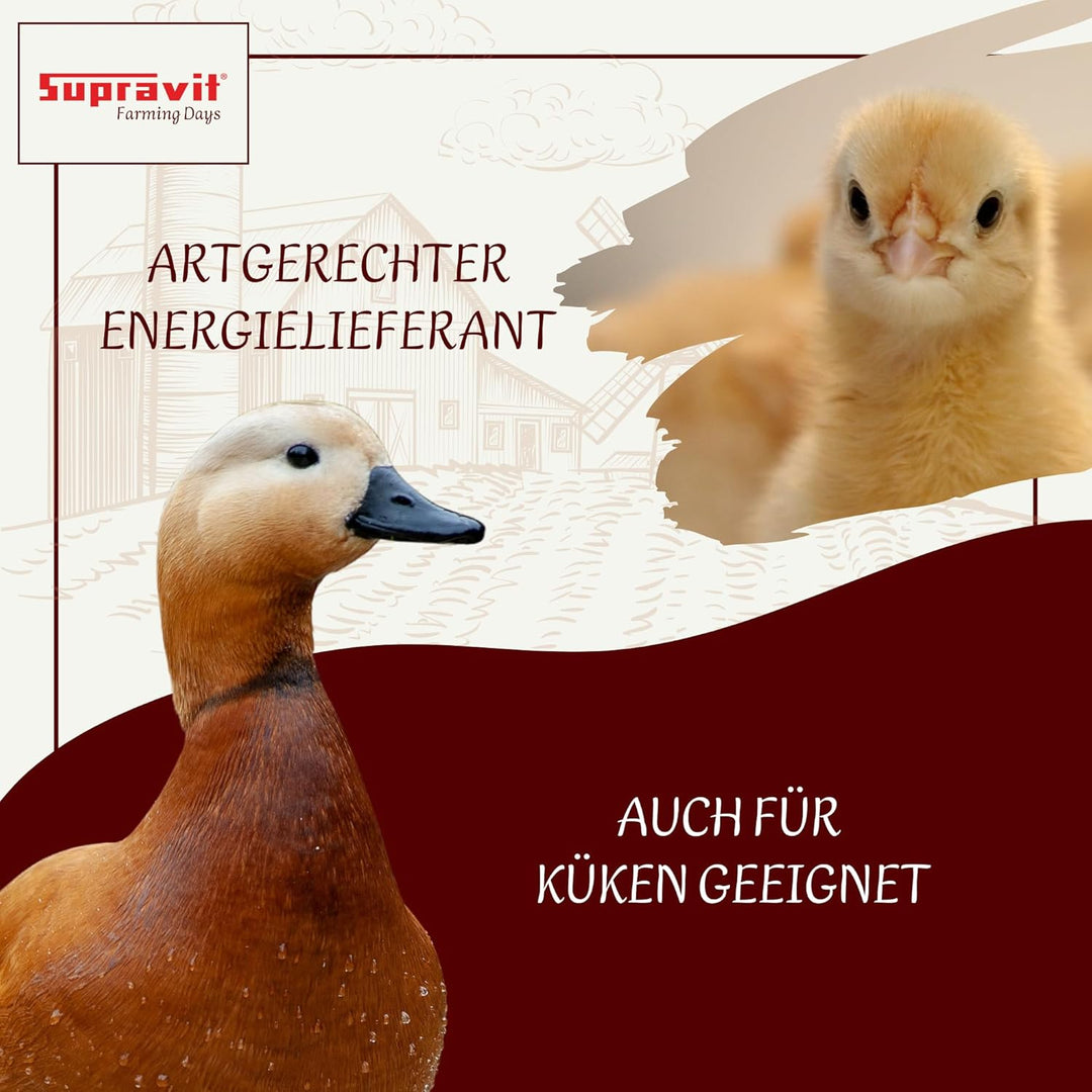 SUPRAVIT Weizen Futterweizen - 25kg aus regionaler Landwirtschaft - Ideales Einzelfuttermittel für T