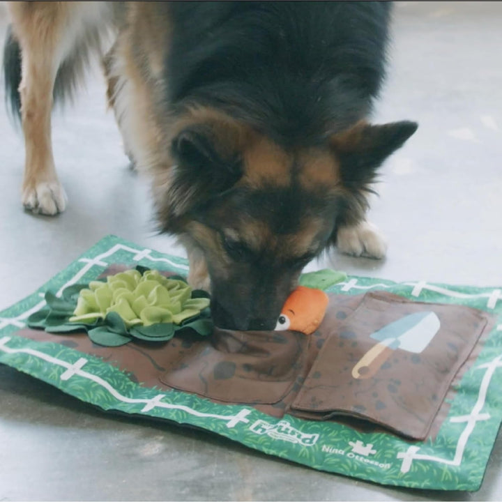 Outward Hound Nina Ottosson Activity Matz Garden Game - Spielmatte für Hunde - plüschig & unterhalts