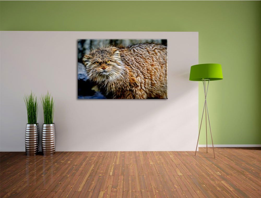 wütende Manul Deluxe Format: 100x70 cm auf Leinwand, XXL riesige Bilder fertig gerahmt mit Keilrahme