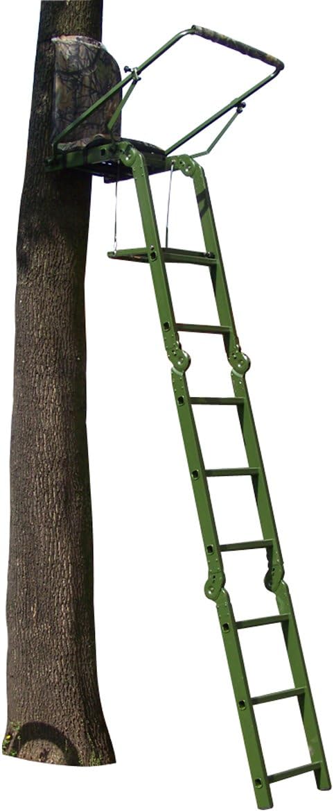 Berger & Schröter Ansitzleitern Klappbare, Grün,