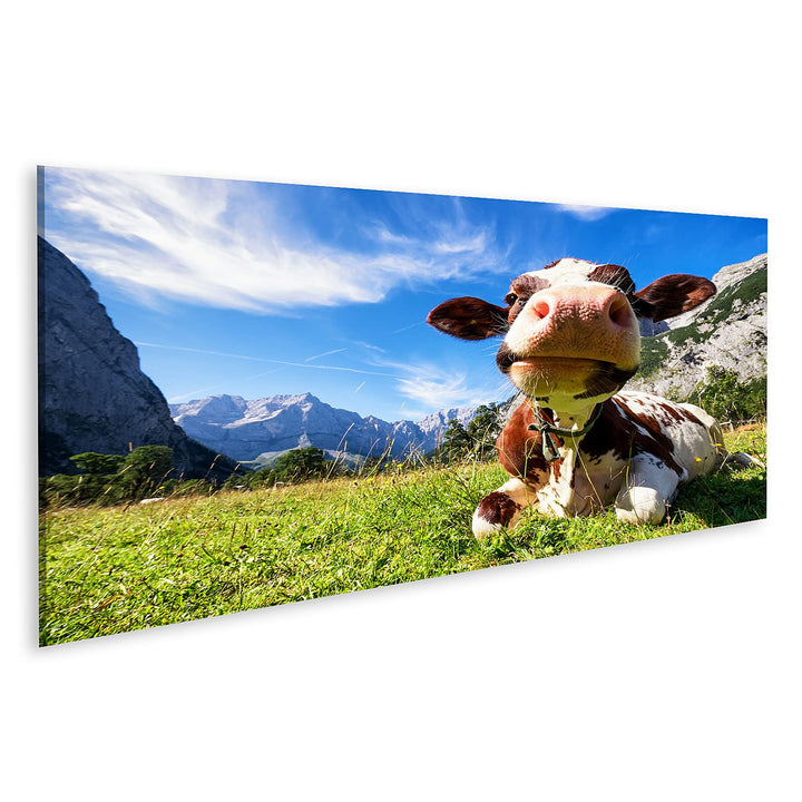 islandburner Bild auf Leinwand Kuh Auf Wiese Im Karwendelgebirge Österreich Bilder Wandbilder Poster