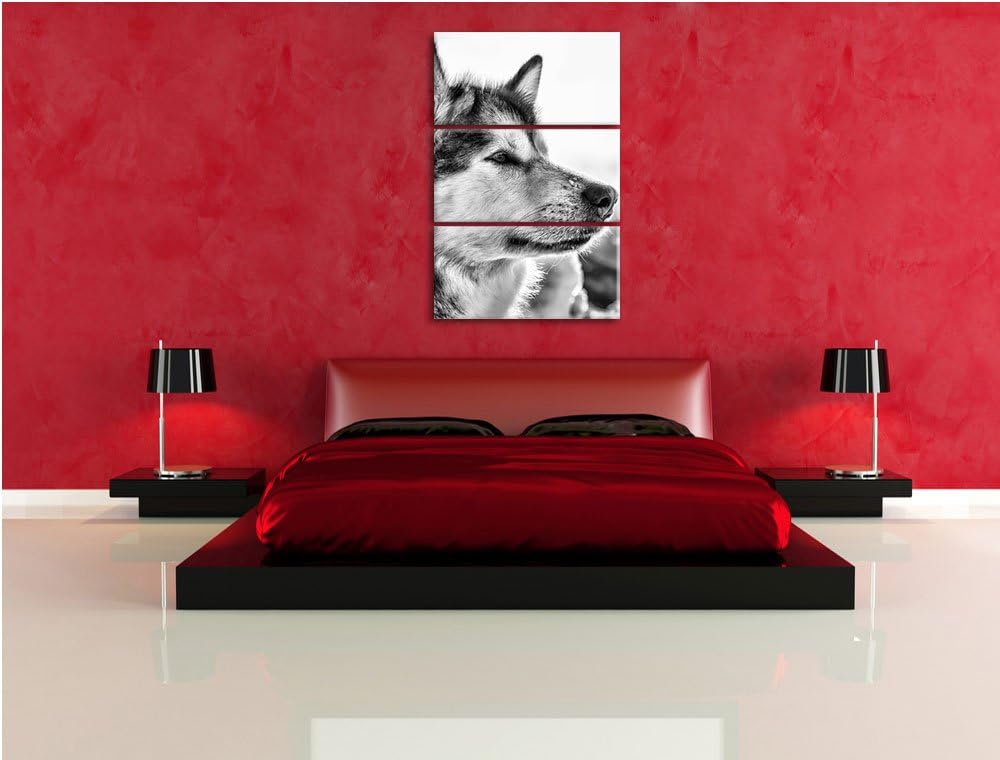 Pixxprint Monocrome, Husky im Schnee 3-Teiler Leinwandbild 120x80 Bild auf Leinwand