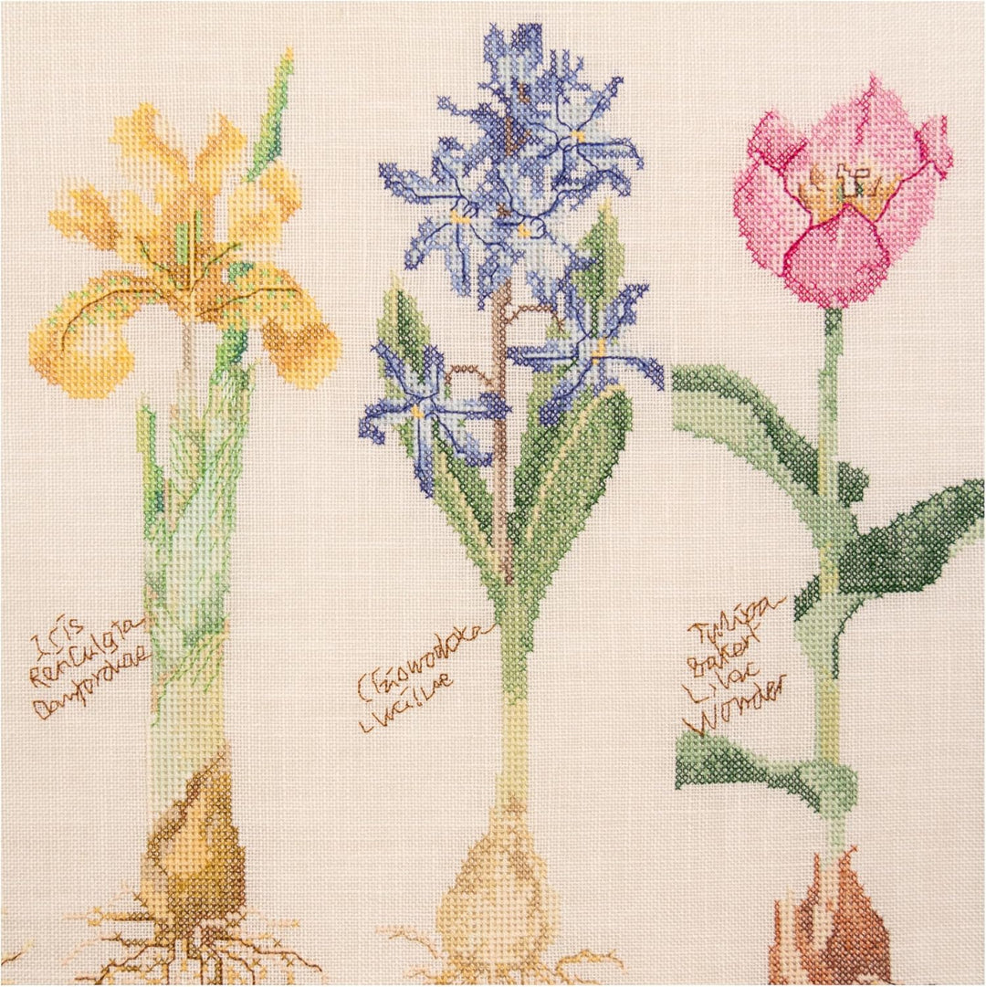 Thea Gouverneur - Kreuzstich-Set - Frühlingszwiebeln - Leinen - 32 Count - Für Erwachsene - 1087, Fr
