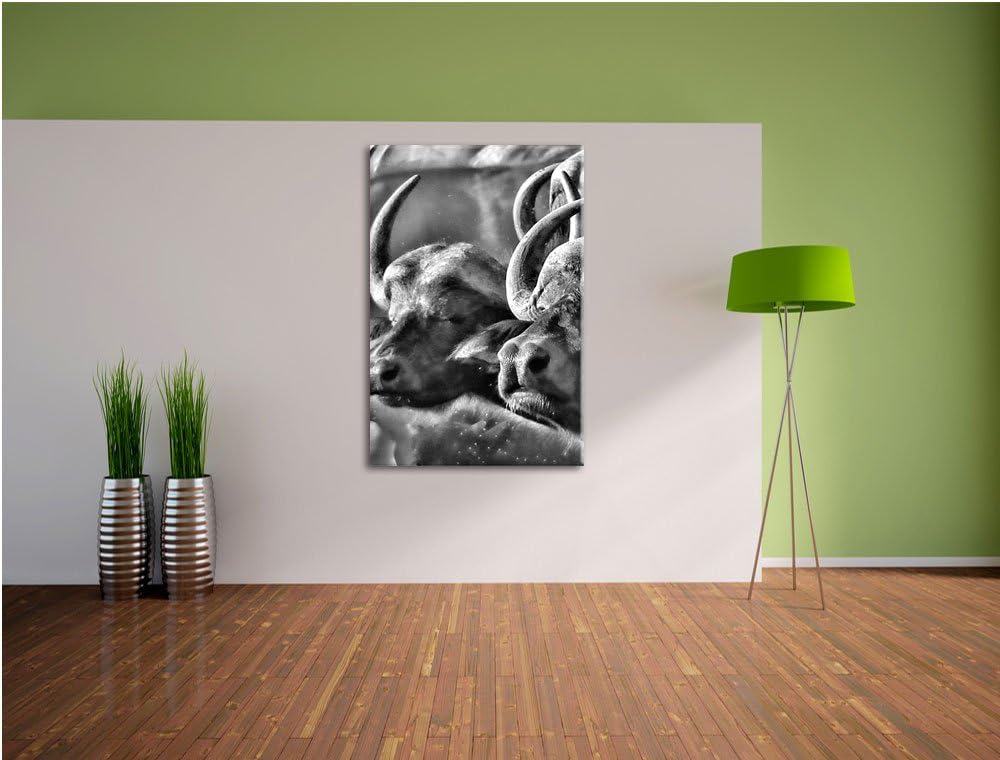 Pixxprint Monocrome, Zwei gemütliche Wasserbüffel, Format: 100x70 auf Leinwand, 100x70