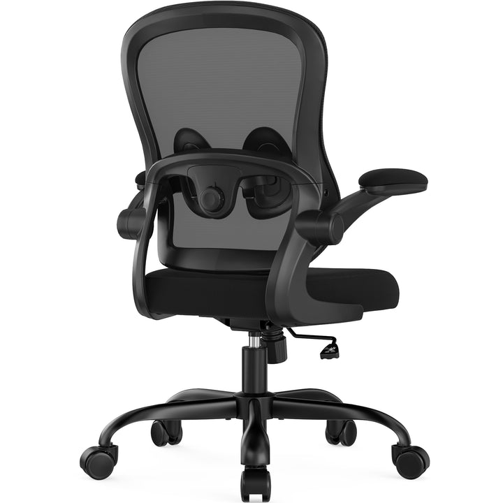 Farini Ergonomischer Executive Schreibtischstuhl Mesh Bürostuhl mit Verstellbarer Lendenstütze und a