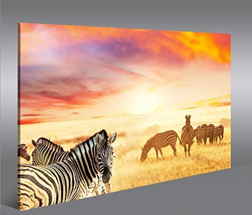 islandburner Bild Bilder auf Leinwand Zebras V3 Zebra Steppe Afrika 1p XXL Poster Leinwandbild Wandb