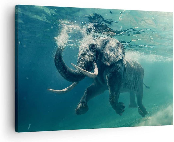 Bilder auf Leinwand Elefant Tier Wasser Leinwandbild mit Rahmen 70x50cm Wandbilder Dekoration Wohnzi