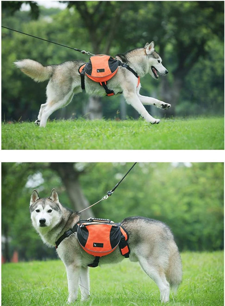 Satteltasche Hunderucksack für Mittlere Grosse Hunde, Packtaschen Rucksack für Reisen Wandern Traini