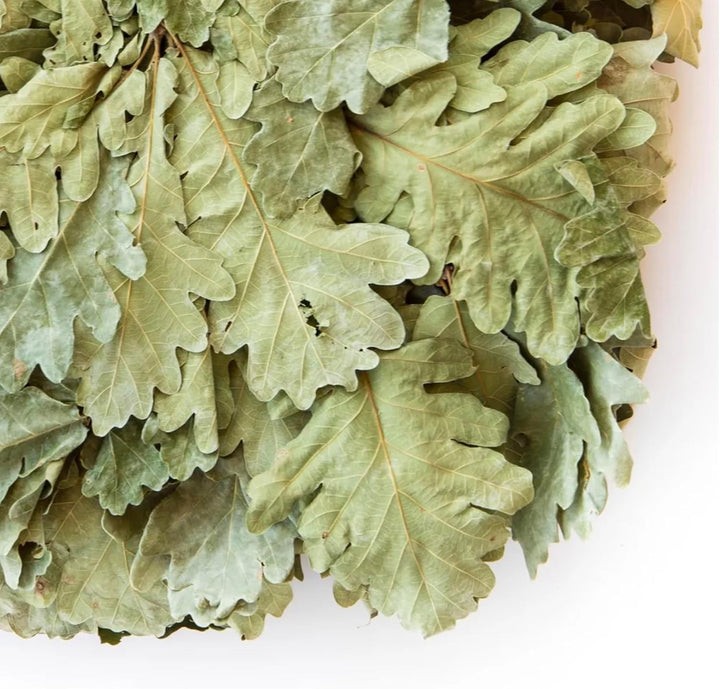 5St.Кaukasischer Eichenbesen Ausgewählt für Banja,| Venik|Wenik|Eichenreizig|Веник, Saunaquaste gesa