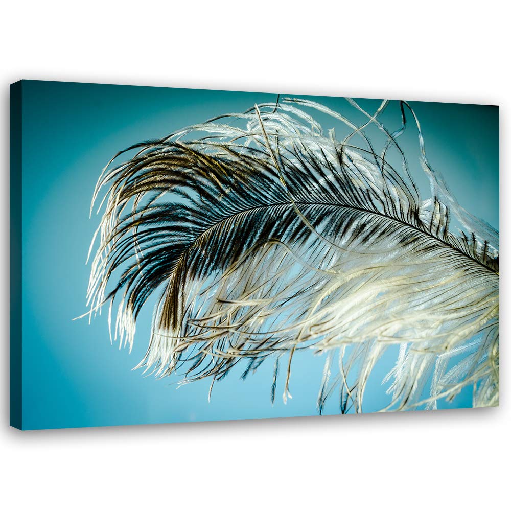 Leinwandbild Feder Bild Kunstdruck abstrakt Blau 80x60 cm M14243 80x60 cm, M14243 80x60 cm