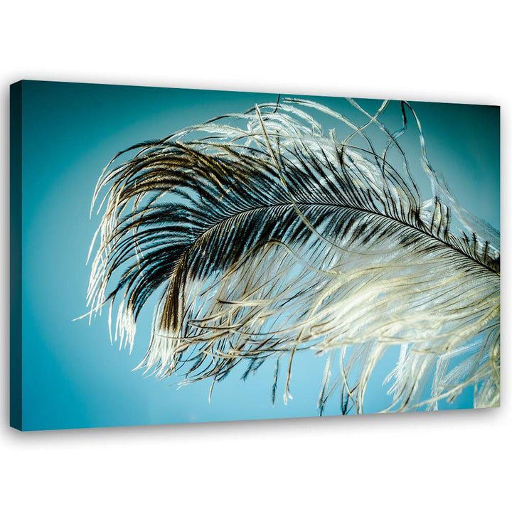 Leinwandbild Feder Bild Kunstdruck abstrakt Blau 80x60 cm M14243 80x60 cm, M14243 80x60 cm