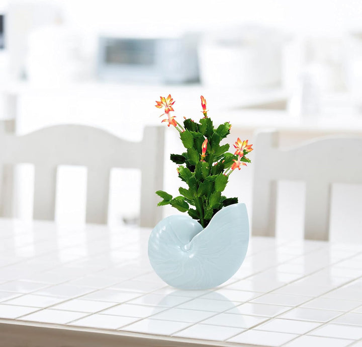 BESPORTBLE Keramik Sukkulenten Blumentopf Muschel Deko: Statue Kaktus Topf Kleiner Übertopf Balkon P
