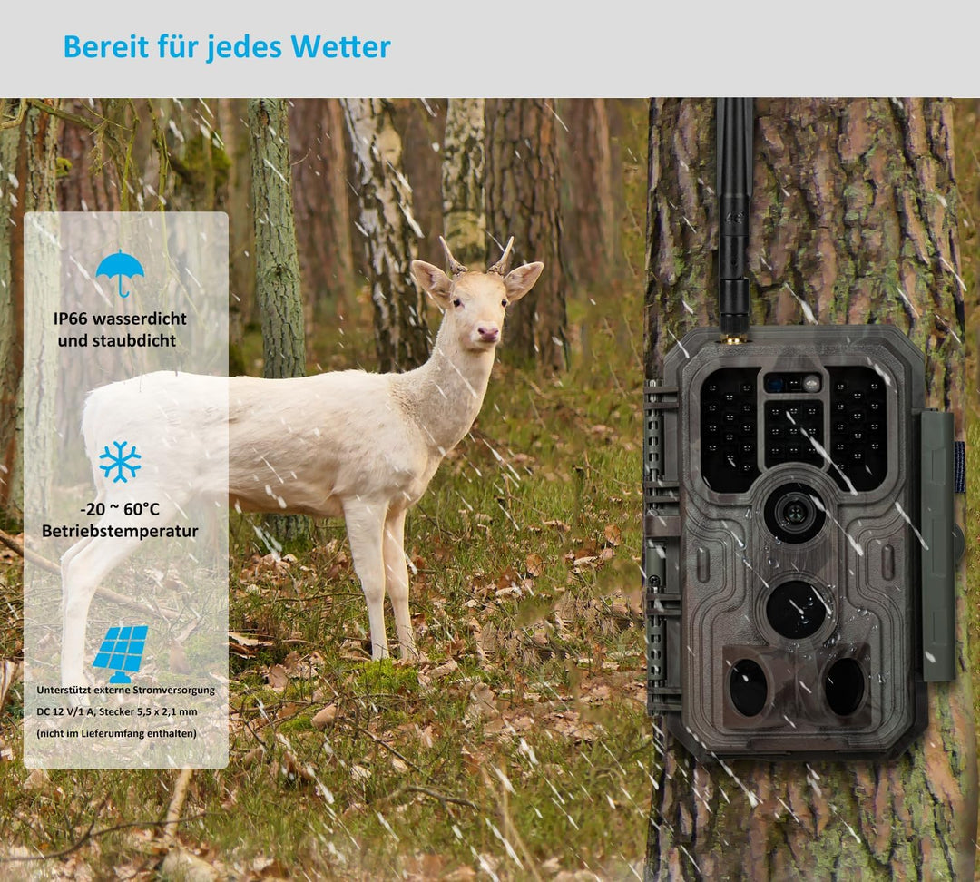 Meidase S950 4G LTE Wildkamera Handyübertragung App, Wildtierkamera mit Nachtsicht Bewegungsmelder,