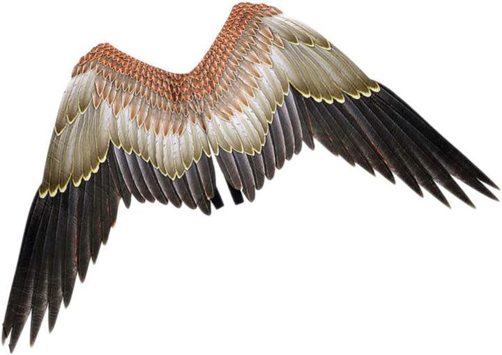 STOBOK Adlerflügel Vogel Kostüm Flügel Karneval Performance Requisite für Erwachsene Jungen Mädchen