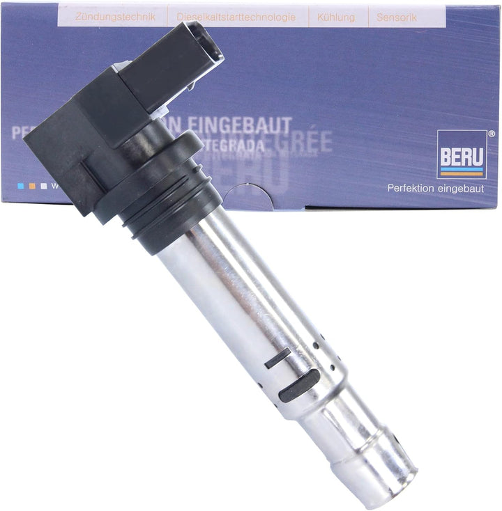 Beru AG 0040102030 Zündspule