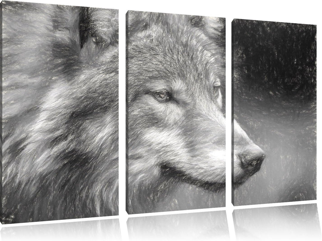 Pixxprint Porträt des europäischen Wolfes Kunst Kohle Effekt 3-Teiler Leinwandbild 120x80 Bild auf L