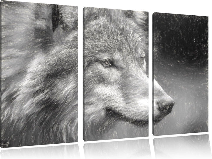 Pixxprint Porträt des europäischen Wolfes Kunst Kohle Effekt 3-Teiler Leinwandbild 120x80 Bild auf L