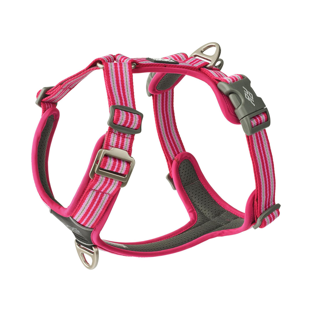 DOG Copenhagen Comfort Walk Air 3.0 Hundegeschirr, Wild Rose, M M Wild Rose, M Wild Rose