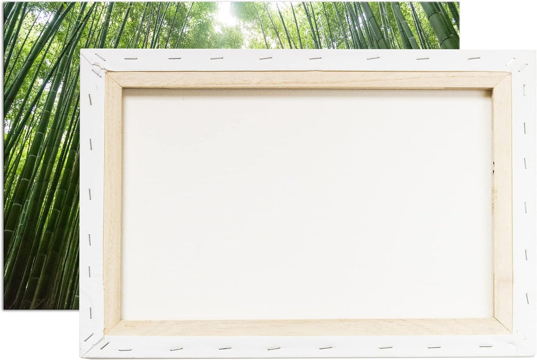 in die Höhe wachsender Bambus Format: 60x40 als Leinwandbild, Motiv fertig gerahmt auf Echtholzrahme