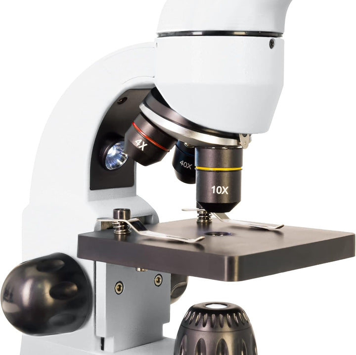 Levenhuk Rainbow 50L Mondstein Leichtes Studentenmikroskop (40- bis 800-Fach) mit Experimentierkaste