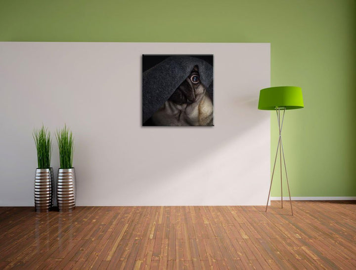 Süsser Lustiger Mobs Decke, Format: 70x70 auf Leinwand, XXL riesige Bilder fertig gerahmt mit Keilra