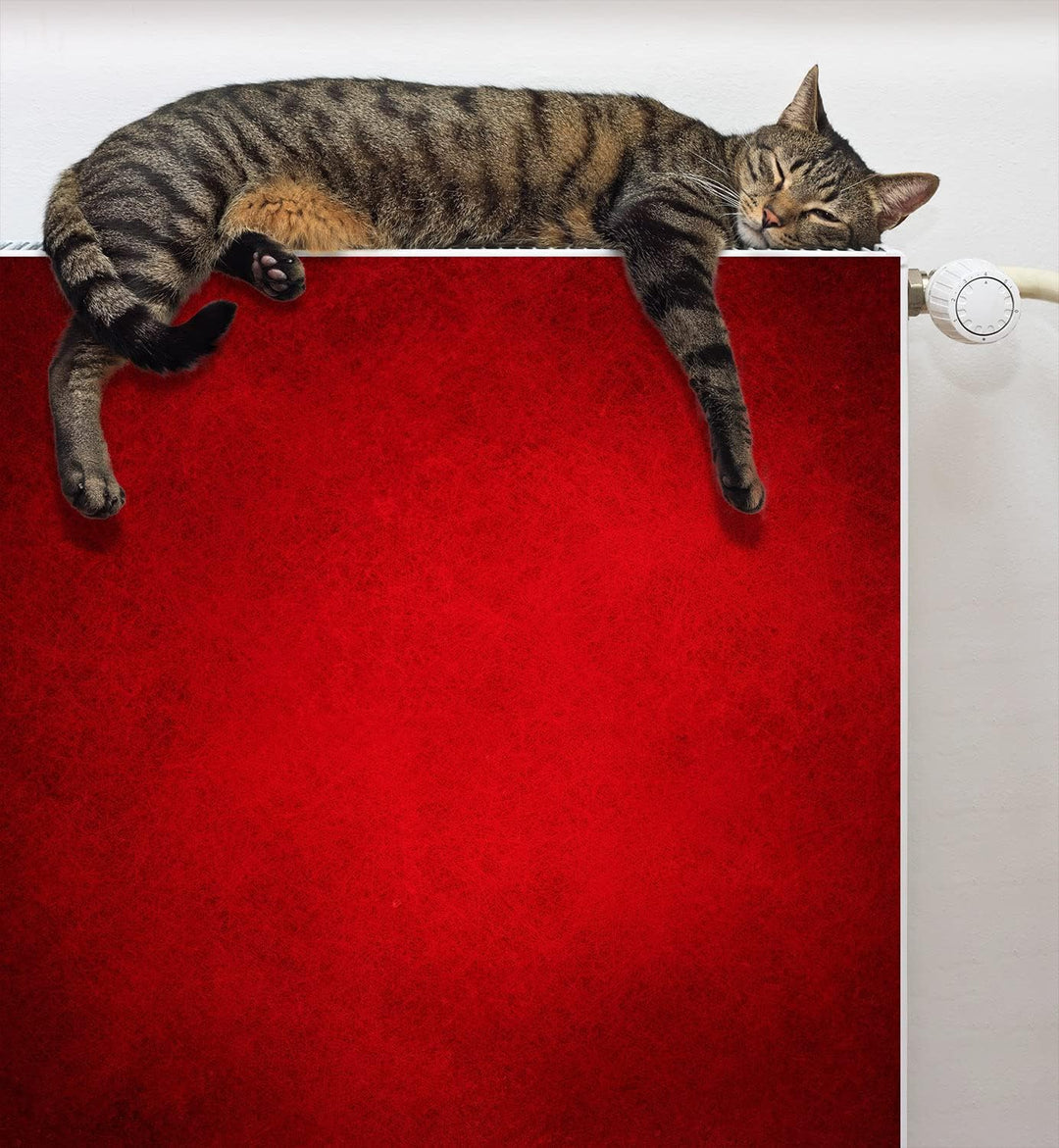 Magnet Heizkörperverkleidung Heizkörperabdeckung Heizung Schutz, 60x60 Motiv ROT 60x60 cm, 60x60 cm