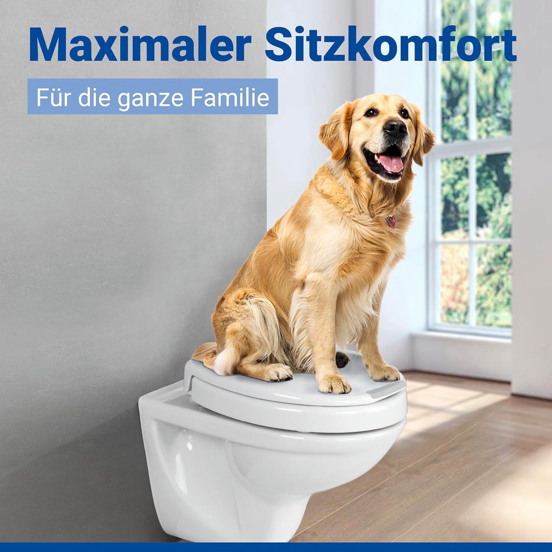 WENKO WC-Sitz Secura Comfort bis 200 kg Tragkraft, Hygiene-Toilettensitz mit 5 cm Sitzflächenerhöhun