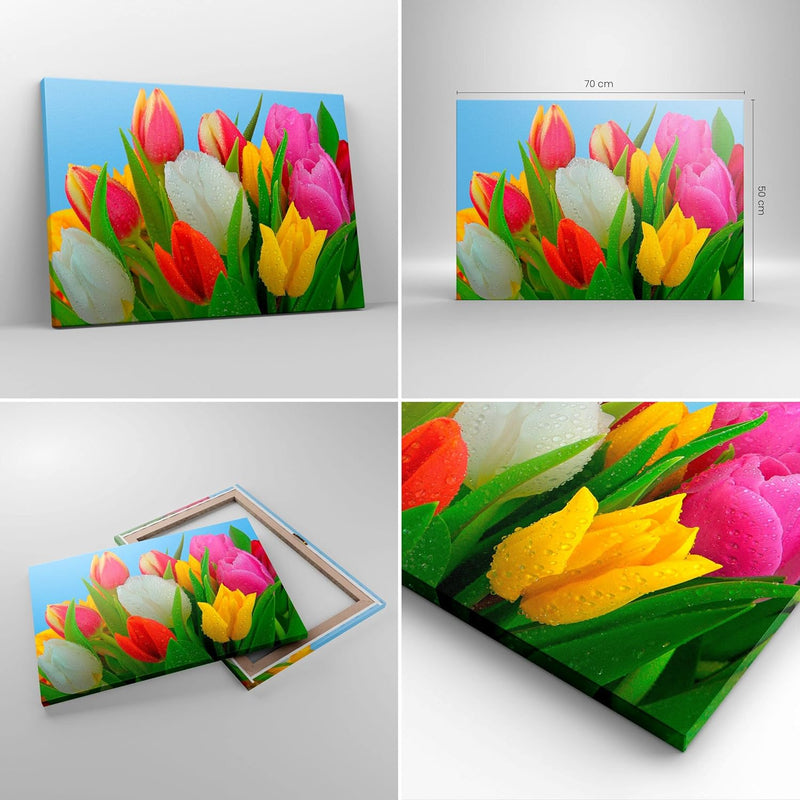 Bilder auf Leinwand Tulpen Blumenstrauss Blumen Tau Leinwandbild 70x50cm Wandbilder Dekoration Wohnz