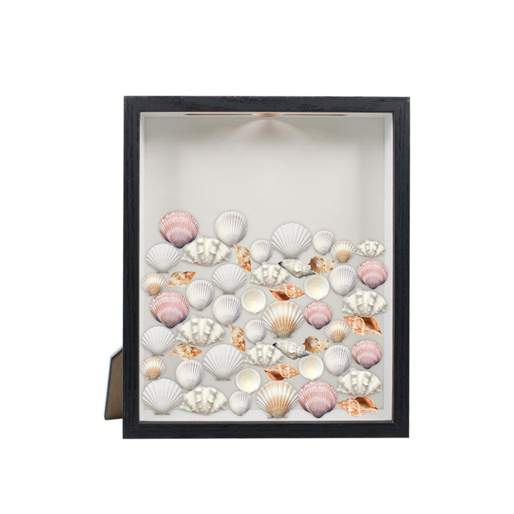 Bilderrahmen Shadow Box Vitrinenrahmen mit Schlitz Oben Holzvitrine für Tickets, Muscheln, Briefmark