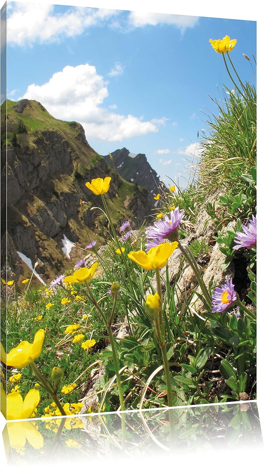 Blumenwiese im Frühling, Format: 100x70 auf Leinwand, XXL riesige Bilder fertig gerahmt mit Keilrahm