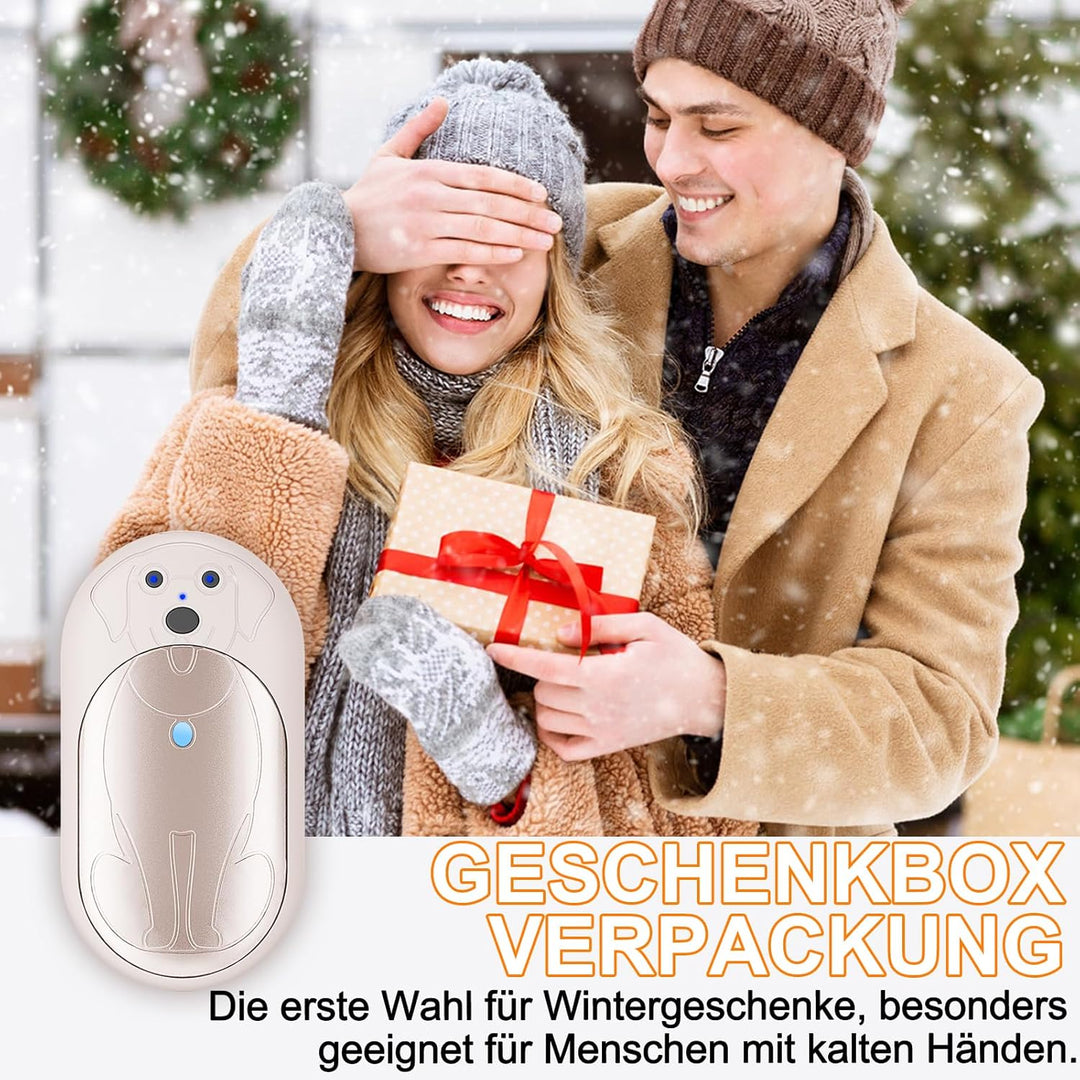 Lepwings Handwärmer Elektrisch, 2er-Pack, 6000 mAh Taschenwärmer Wiederverwendbar mit 3 Modi, 20 Stu