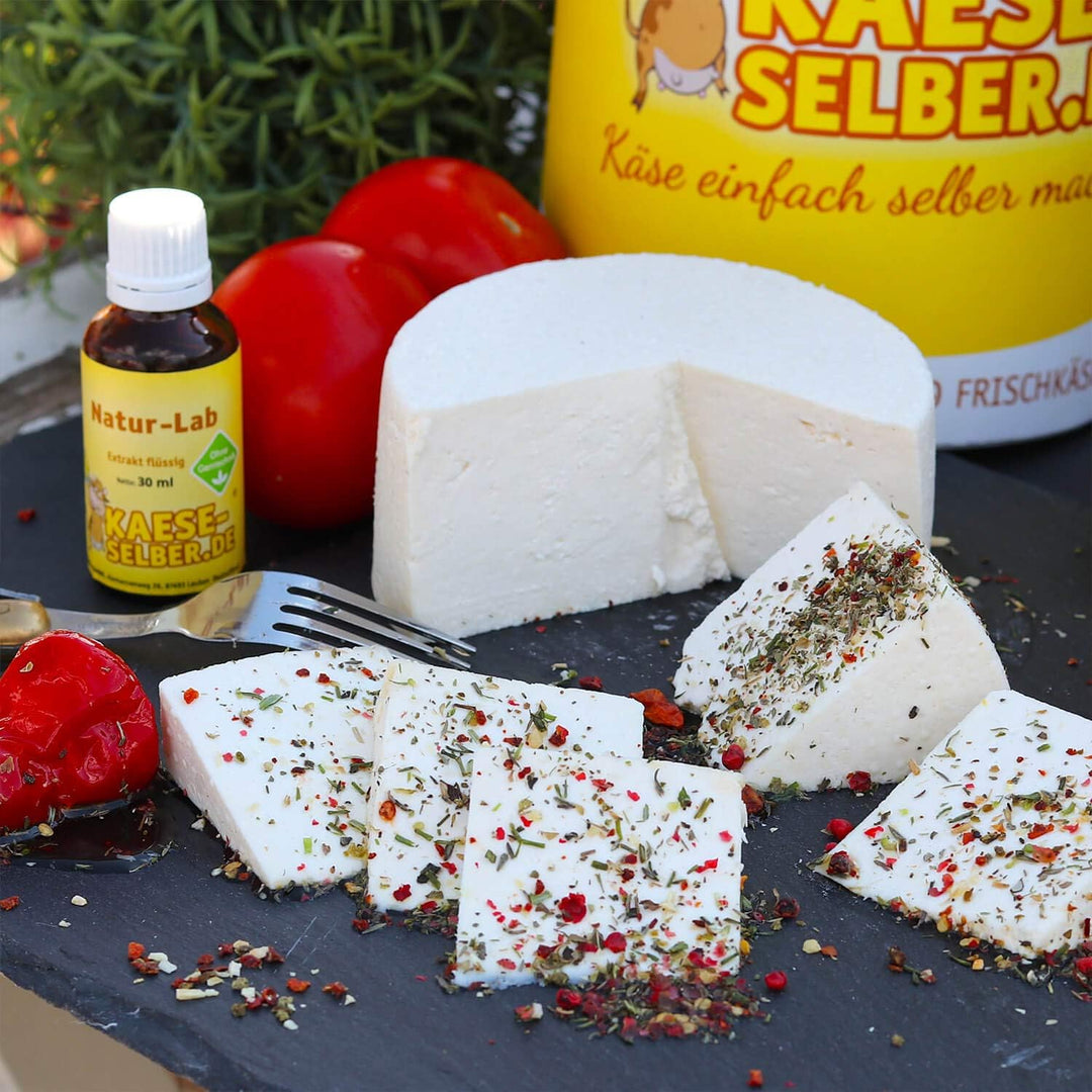 Käse selber Machen - Starter Set inkl. Rezeptmagazin und Videoanleitungen (für Käse, Quark und Frisc