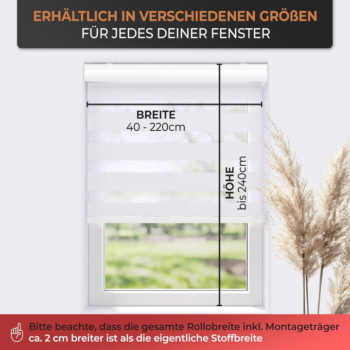EFIXS Doppelrollo mit Kassette Montage Wand/Decke mit Bohren Breiten: 40-220, Höhe: bis 240 Hier: Bx