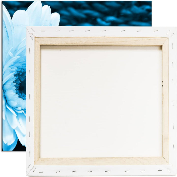 deyoli Weisse Gerbera Format: 60x60 Effekt: Zeichnung als Leinwandbild, Motiv auf Echtholzrahmen, Ho