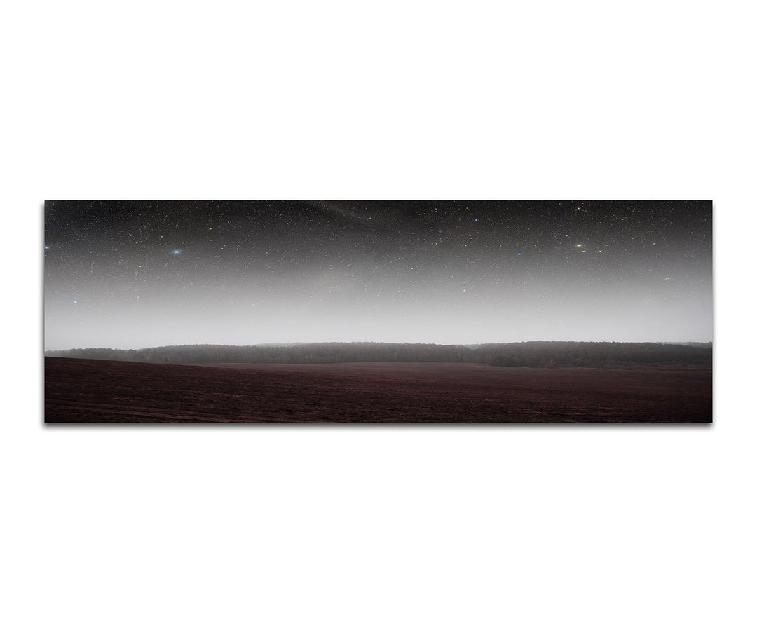 Paul Sinus Art Panoramabild auf Leinwand und Keilrahmen 150x50cm Feld Wald Nacht Sterne