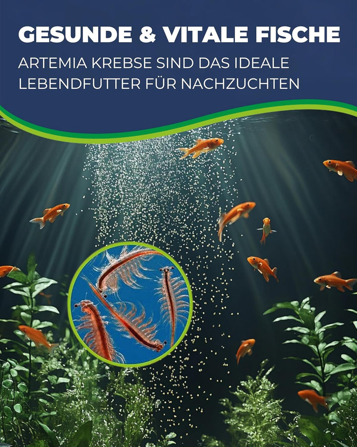 Hobby 21900 Artemia Incubator Set