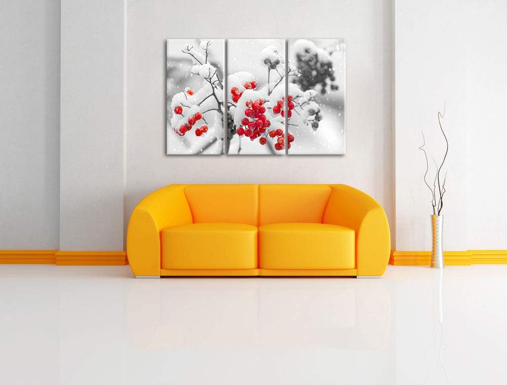 Rote Vogelbeeren im Winter schwarz/weiss 3-Teiler Leinwandbild 120x80 Bild auf Leinwand, XXL riesige
