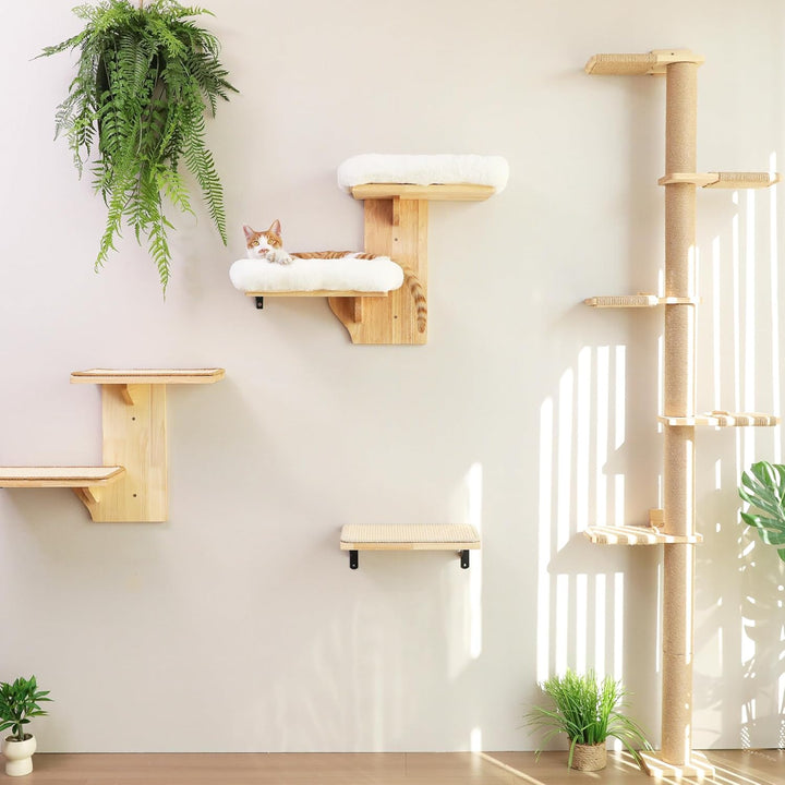FUKUMARU Kletterwand Katze, 2 Plattform-Katzen-Wandmöbel aus Massives Gummiholz，40,6 cm Wandmontiert