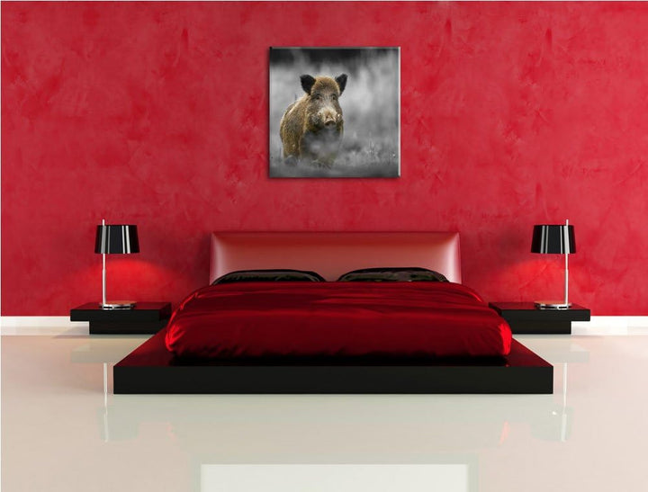 Pixxprint einsames Wildschwein im Wald als Leinwandbild/Grösse: 70x70 cm/Wandbild/Kunstdruck/fertig