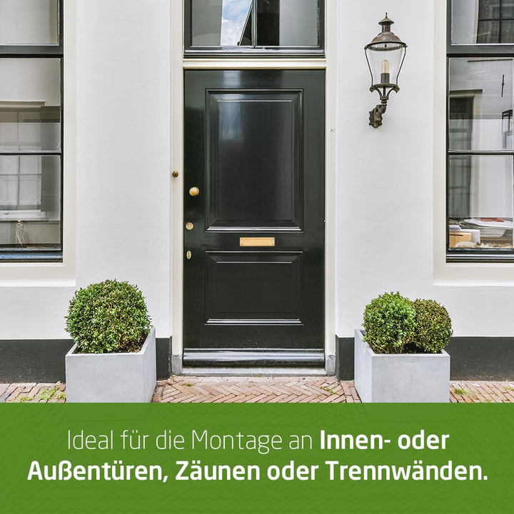 Amig - Briefkastenschlitz Golden Mod. 1 - Klappe für Wände oder Türen - Briefsammler mit Messingdeck