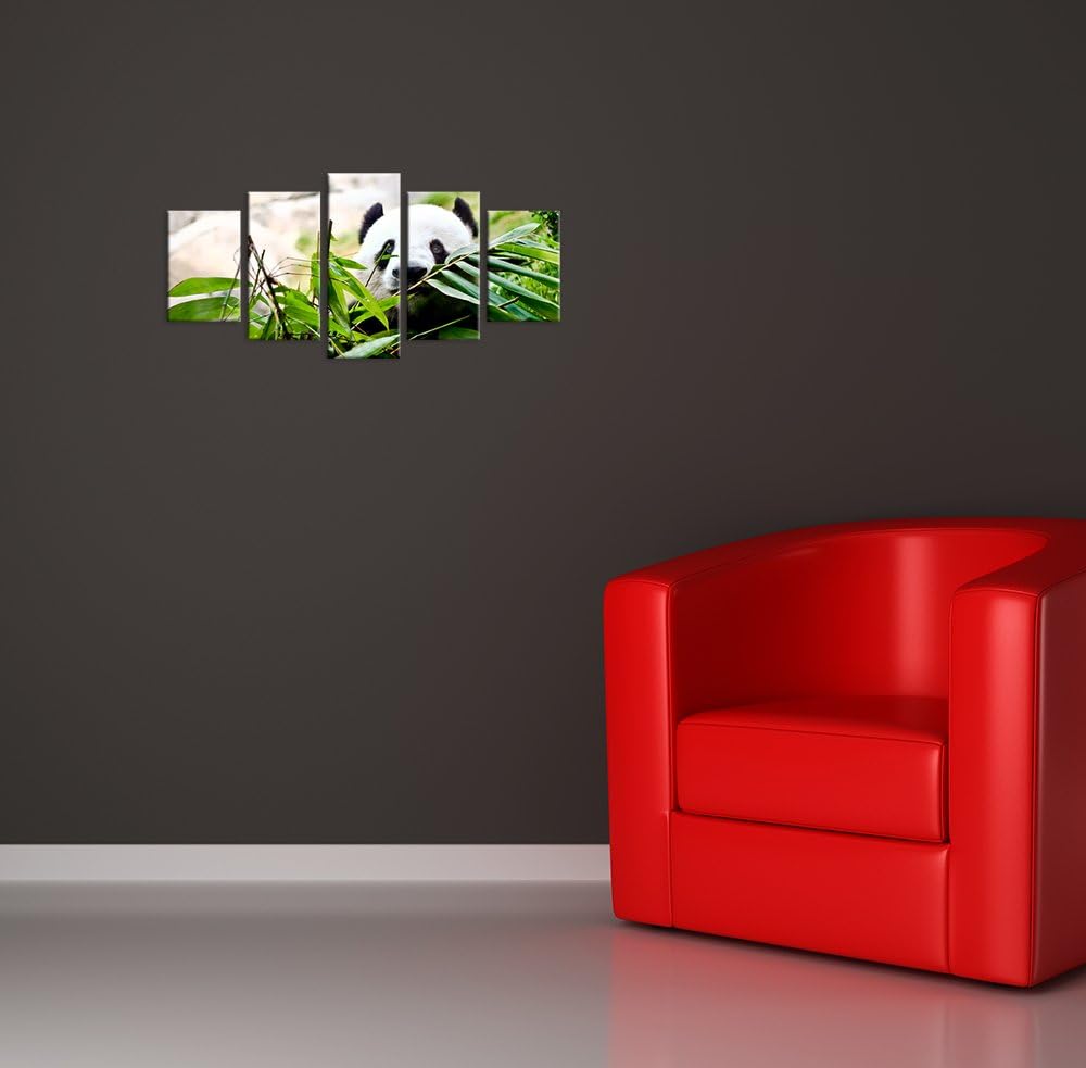 Bilderdepot24 Bild auf Leinwand | Pandabär in 70x50 cm als Wandbild | Wand-deko Dekoration Wohnung m