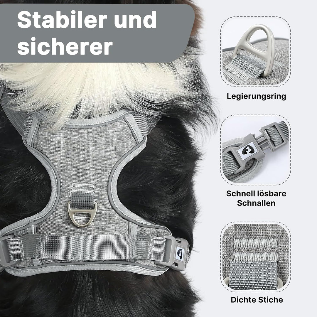 Demigreat Mittleres Hundegeschirr, Anti-Zug-Hundegeschirr mit Weich Gepolstertem Griff für das Train