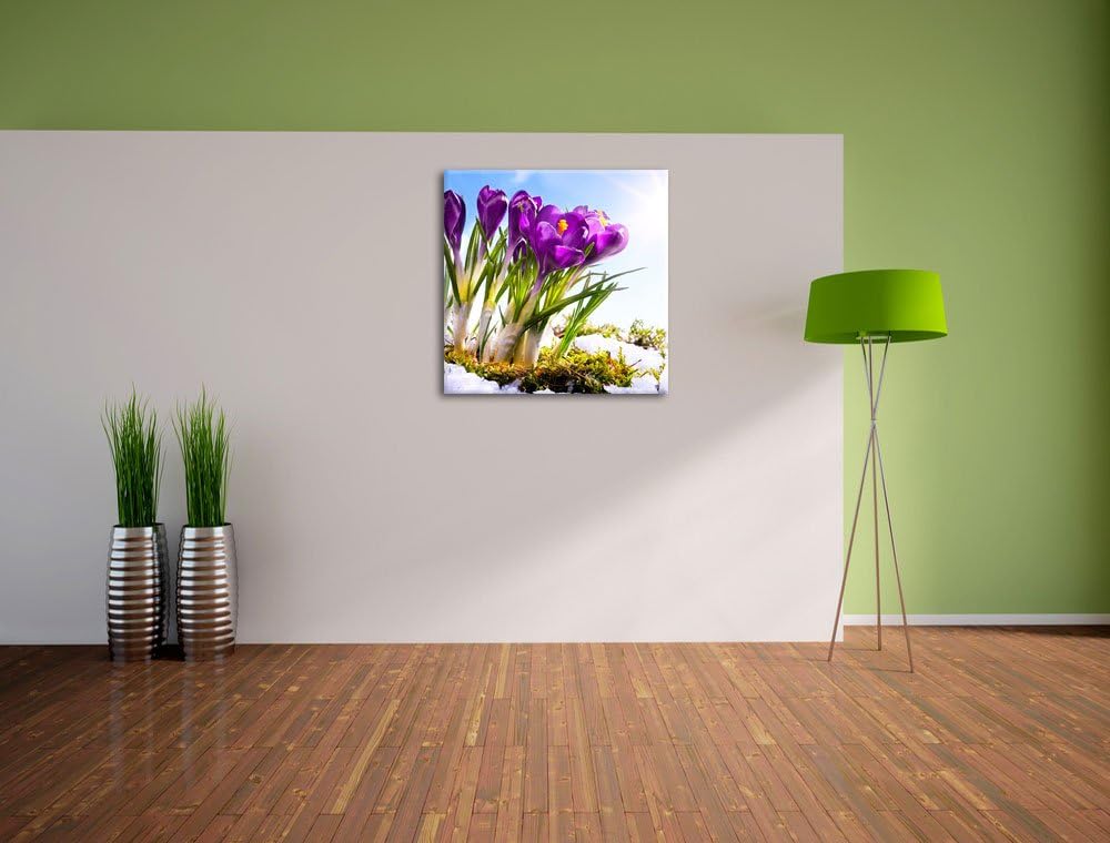 Pixxprint Kunst Frühling Flower Hintergrund als Leinwandbild | Grösse: 70x70 cm | Wandbild | Kunstdr